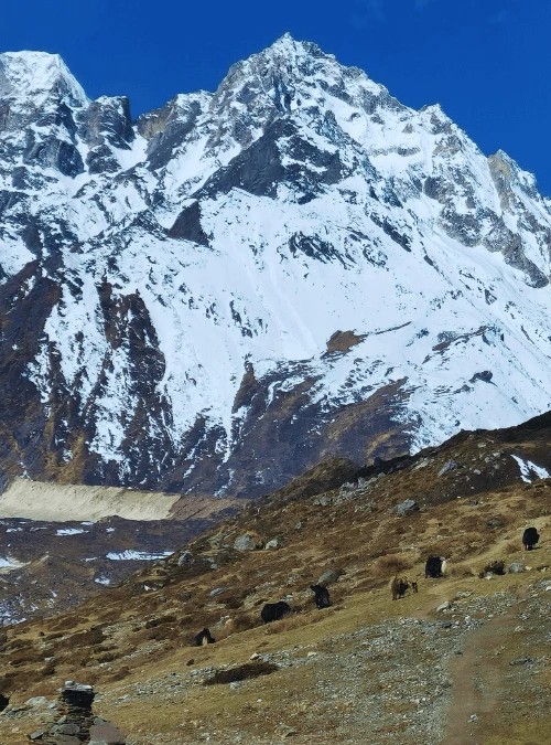 Manaslu Trekking