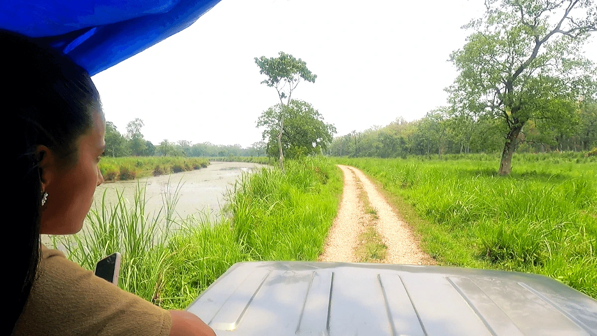 chitwan-national-park