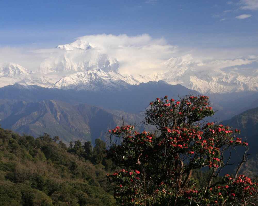 Trek a Poon Hill
