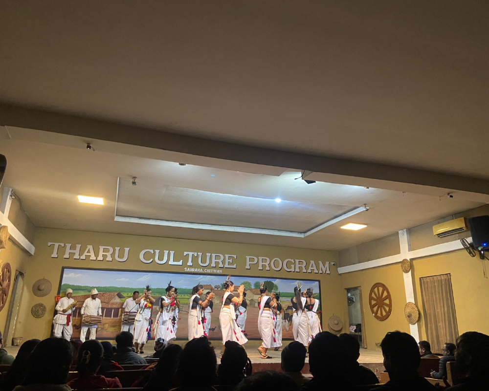 danza cultural tharu