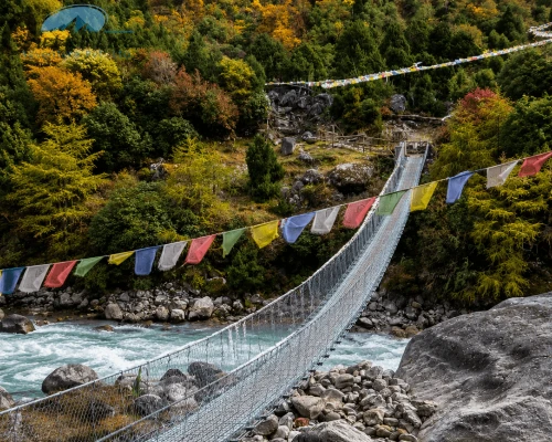 Puente Sobre Rio Ruta Kanchenjunga Nepal