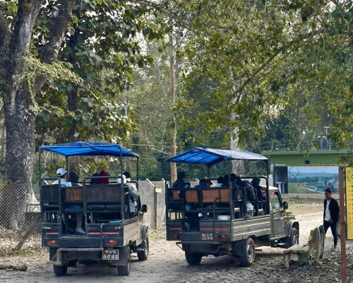 Safari Por La Jungla En Jeep En Chitwan 
